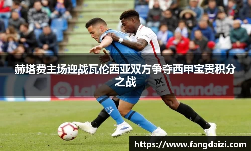bsports官网入口