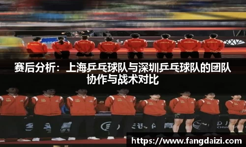 bsports官网入口